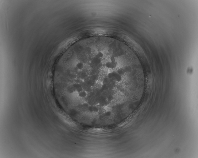 X0000097870361200803141303
