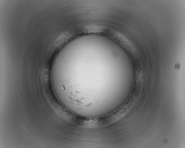 X0000097870362200803141303