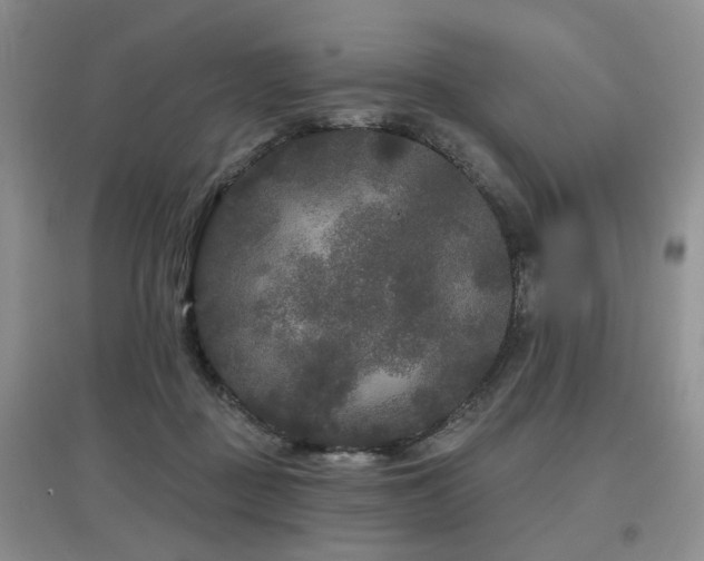 X0000097870363200803141303