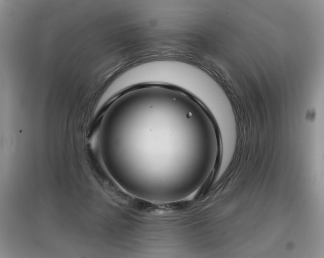 X0000097870364200803141303