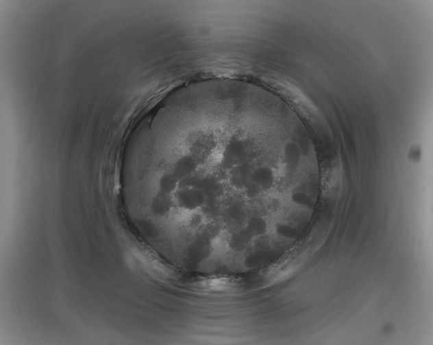 X0000097870365200803141303
