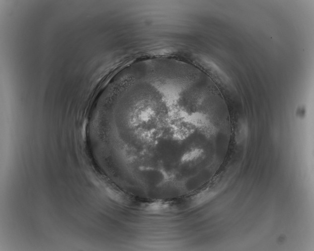 X0000097870366200803141303