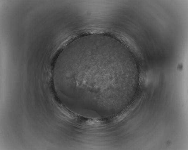 X0000097870367200803141303