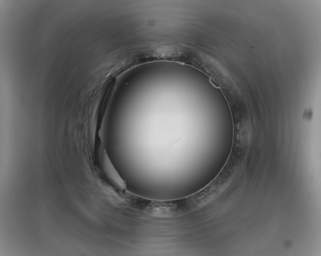 X0000097870368200803141303