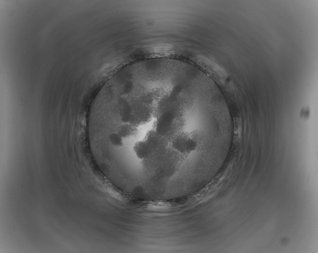 X0000097870369200803141303