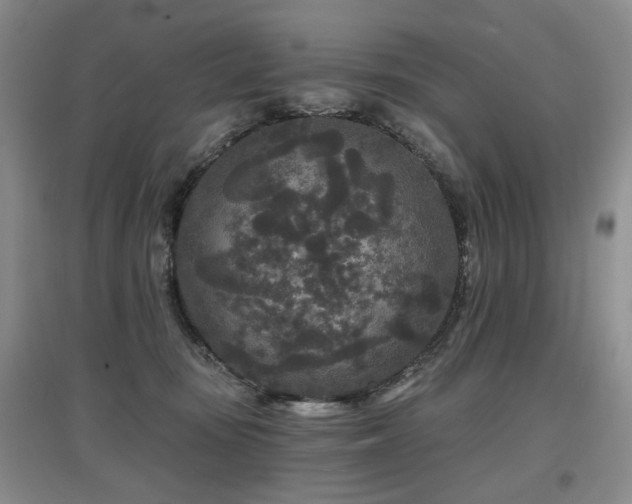 X0000097870371200803141303