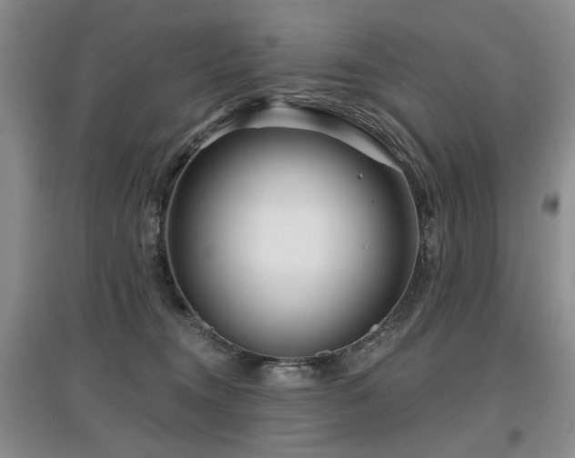 X0000097870372200803141303