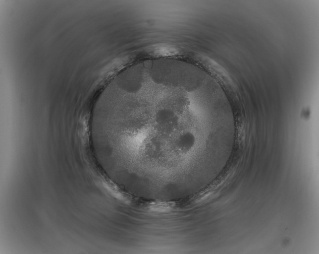X0000097870373200803141303