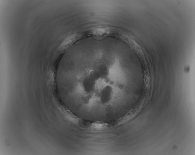 X0000097870375200803141303