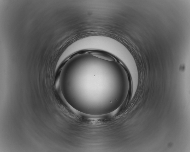 X0000097870376200803141303