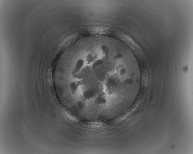 X0000097870377200803141303