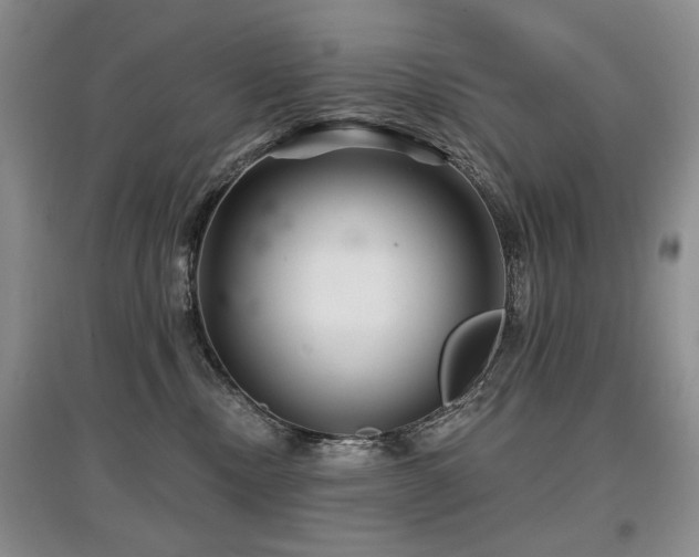 X0000097870378200803141303