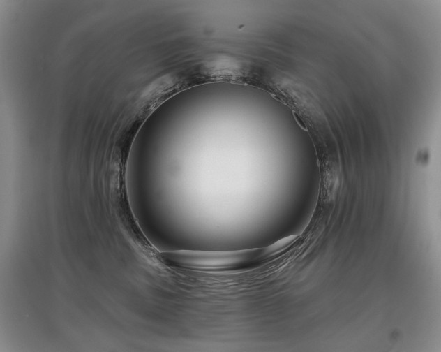 X0000097870379200803141303
