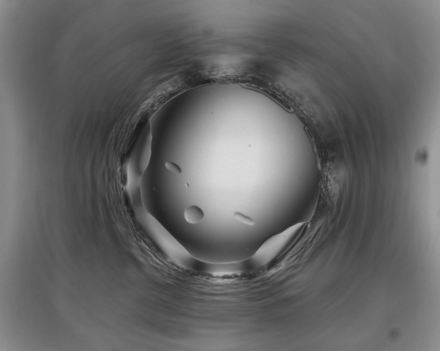 X0000097870380200803141303