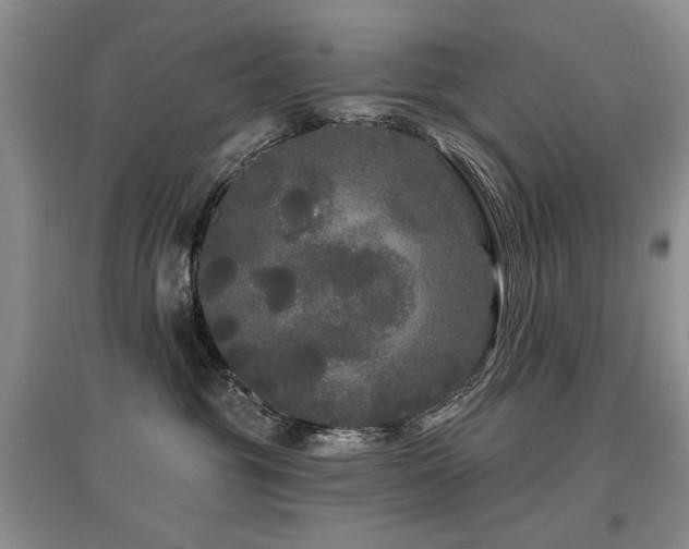 X0000097870381200803141303
