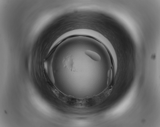 X0000097870382200803141303