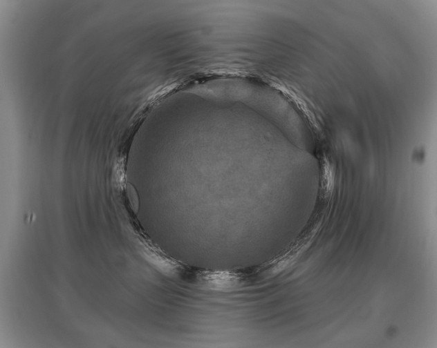 X0000097870383200803141303