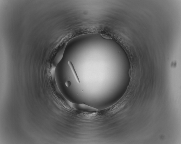X0000097870384200803141303