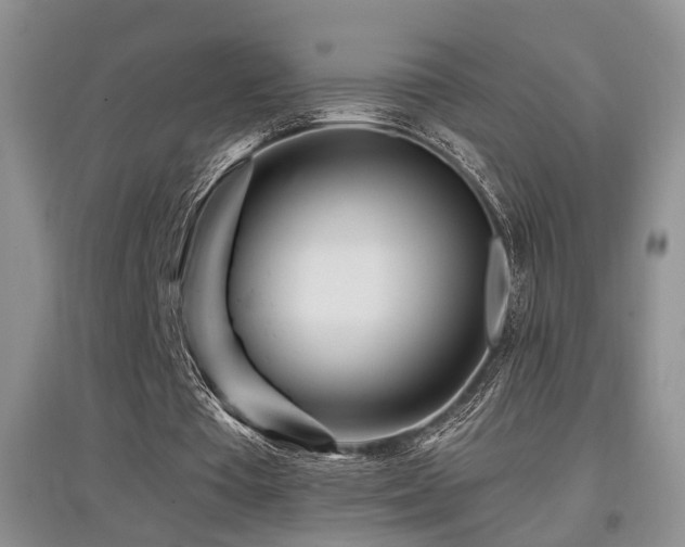 X0000097870385200803141302