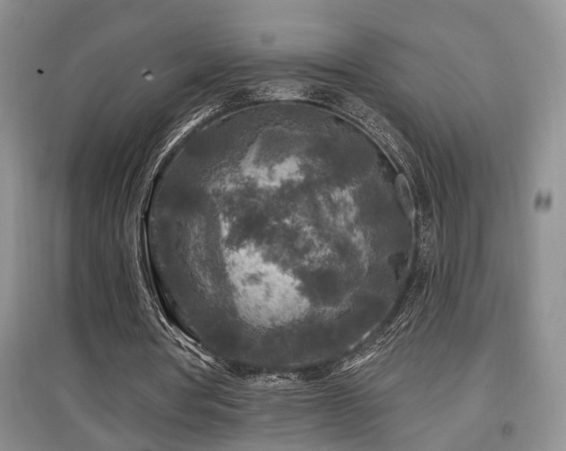 X0000097870386200803141302