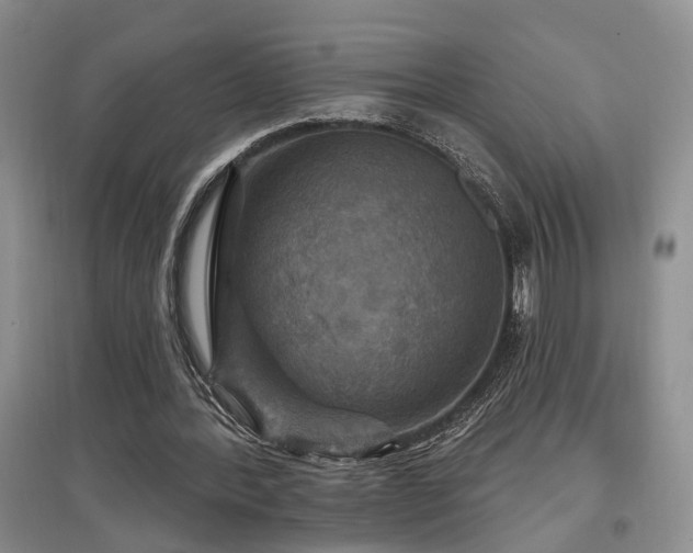 X0000097870388200803141302