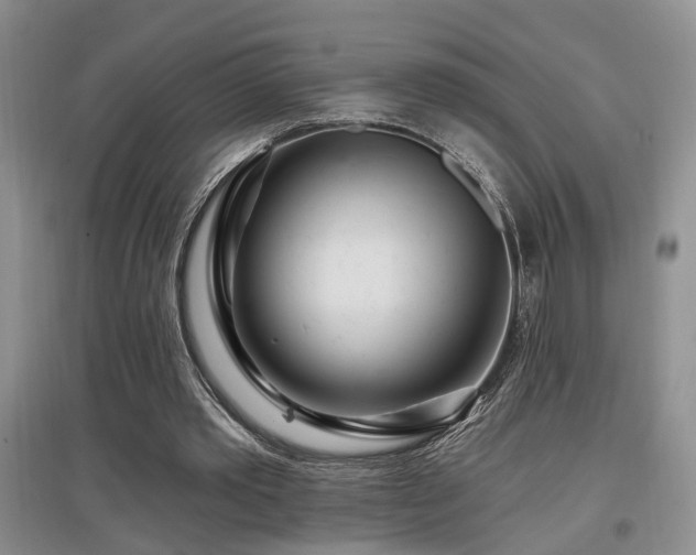 X0000097870389200803141302