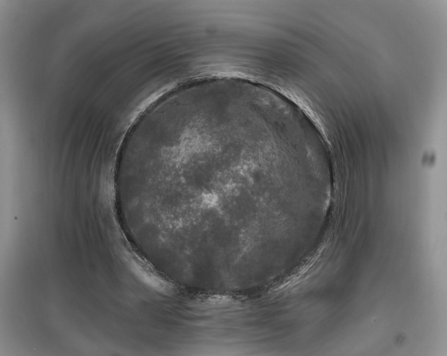 X0000097870390200803141302