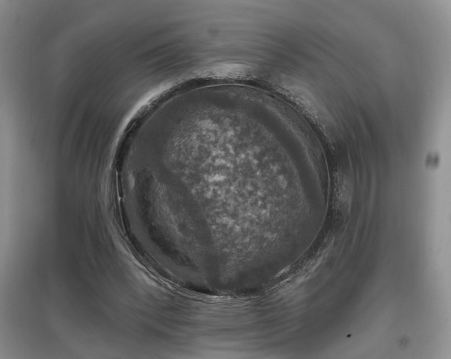 X0000097870392200803141302