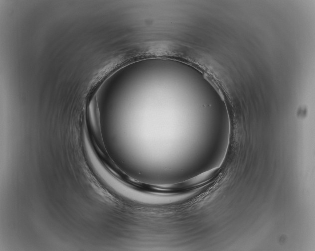 X0000097870393200803141302