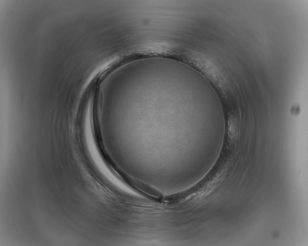 X0000097870396200803141302