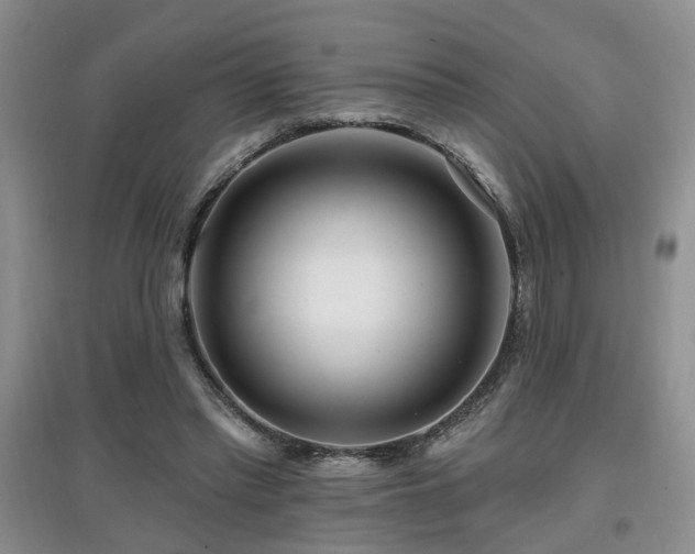 X0000097870397200803141302