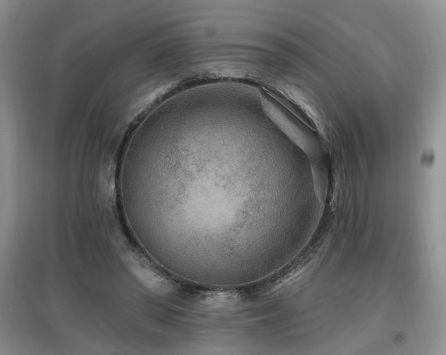 X0000097870398200803141302