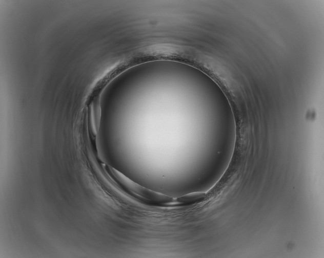 X0000097870399200803141302
