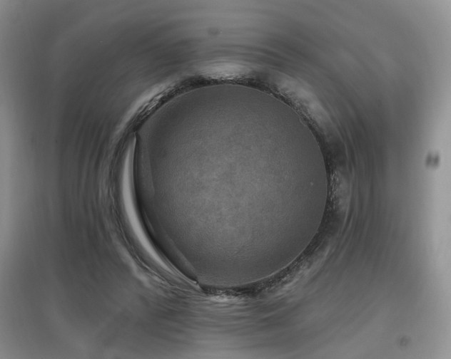 X0000097870400200803141302