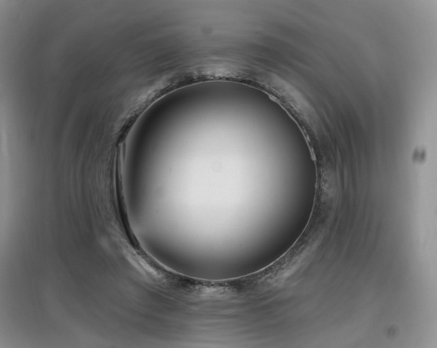 X0000097870401200803141302