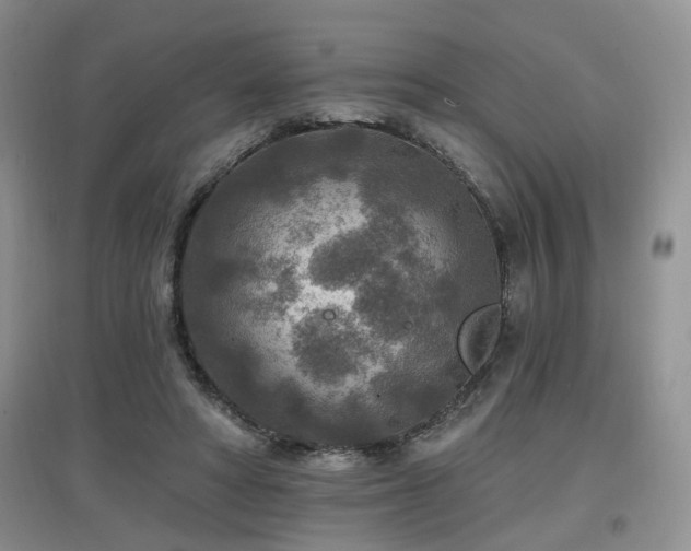 X0000097870402200803141302