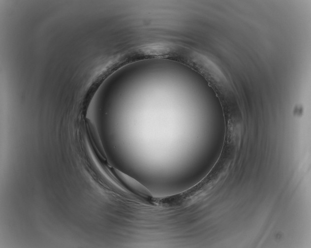 X0000097870404200803141302