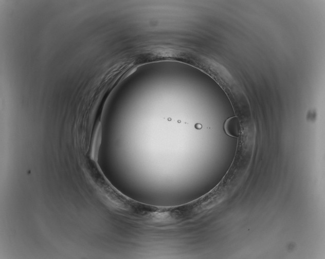 X0000097870406200803141302