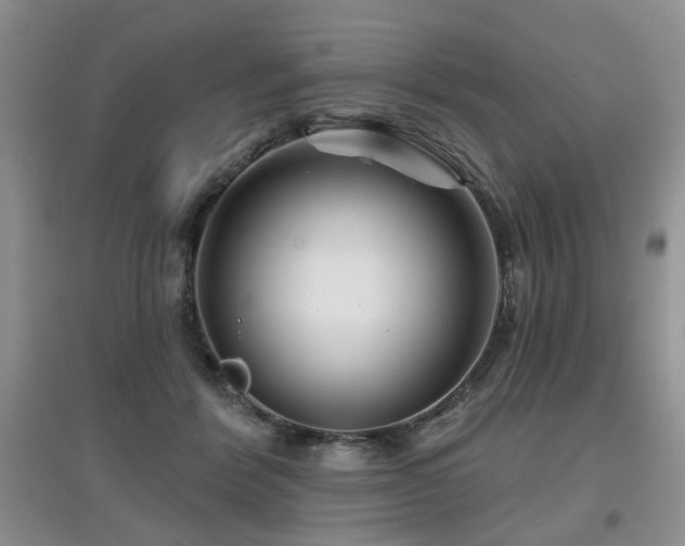 X0000097870412200803141302