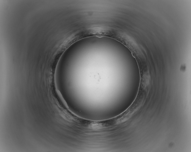 X0000097870413200803141302