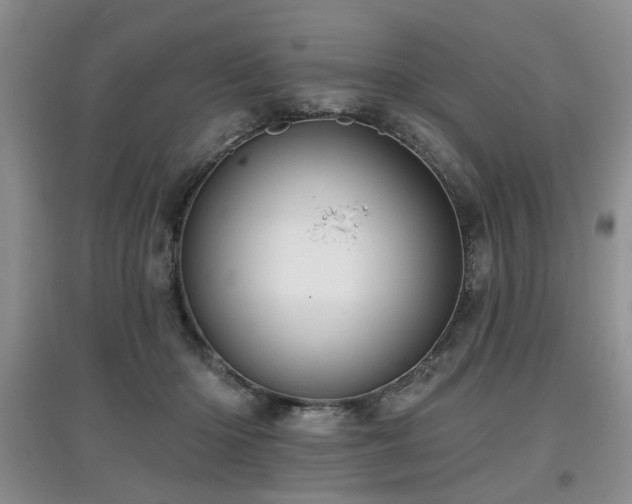 X0000097870414200803141302