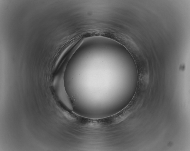 X0000097870416200803141302