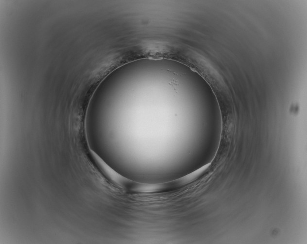 X0000097870417200803141302