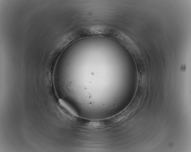 X0000097870418200803141302
