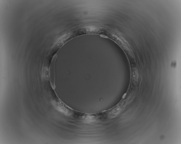 X0000097870419200803141302