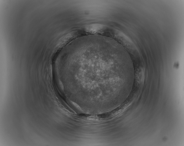 X0000097870420200803141302