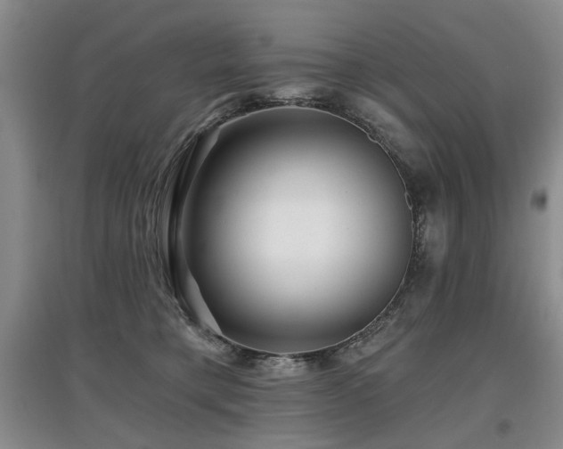 X0000097870421200803141302