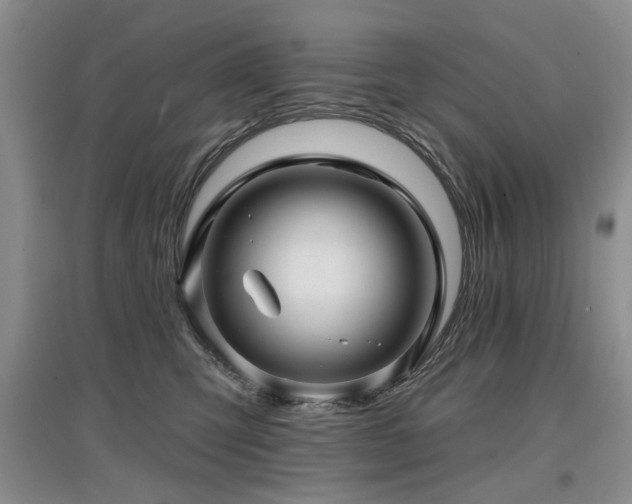 X0000097870423200803141302
