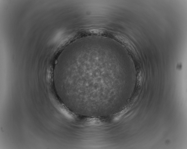 X0000097870424200803141302