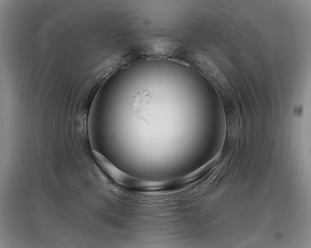X0000097870425200803141302
